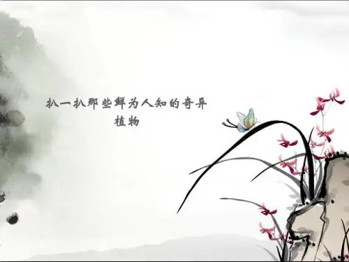 世界奇异花卉大调查ppt