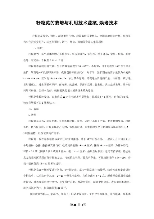 籽粒苋的栽培与利用技术蔬菜,栽培技术
