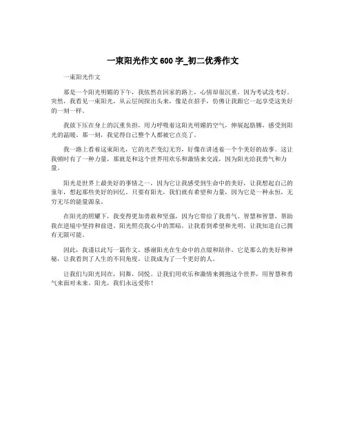 一束阳光作文600字_初二优秀作文