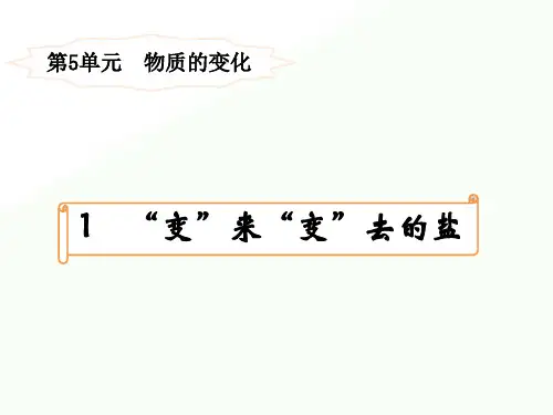2020年四年级下册科学课件-5.1“变”来“变”去的盐   ｜湘科版(一起)            (共20张PPT)