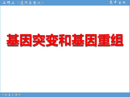 2021届高三一轮复习生物：22基因突变和基因重组课件