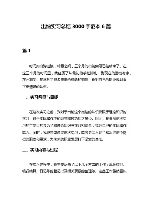 出纳实习总结3000字范本6篇