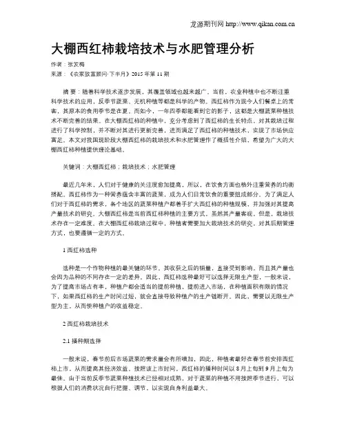 大棚西红柿栽培技术与水肥管理分析