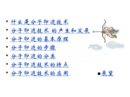 什么是分子印迹技术