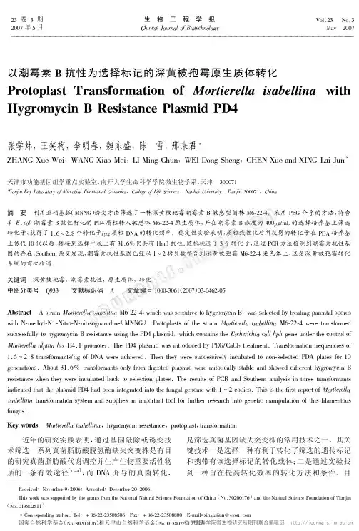 以潮霉素B抗性为选择标记的深黄被孢霉原生质体转化