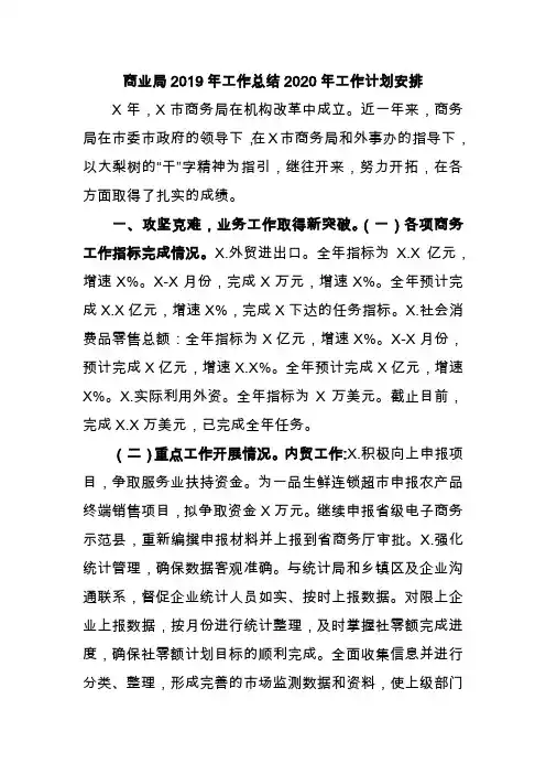 商业局2019年工作总结2020年工作计划安排