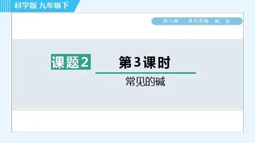 科学版九年级下册化学 第8章 8.2.3 常见的碱 习题课件