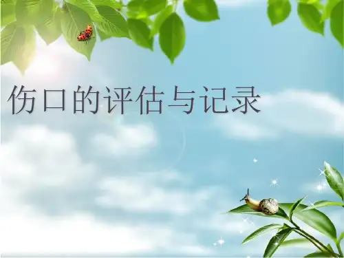 伤口的评估与记录