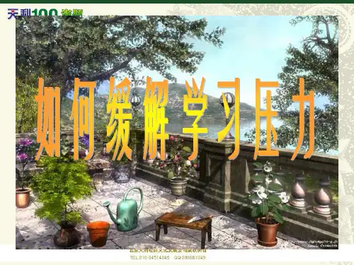 主题班会：缓解学习压力 课件