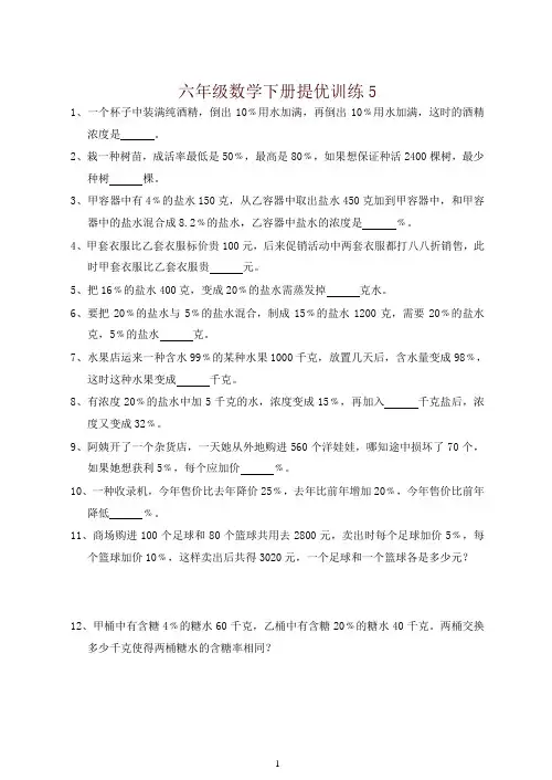 【精编】【通用版】六年级数学下册提优训练5