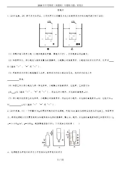 2019年中考物理(真题版)专题练习题：密度计