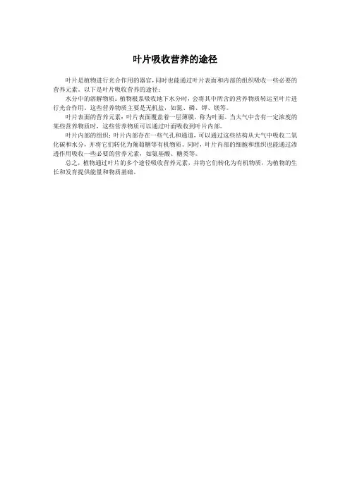 叶片吸收营养的途径