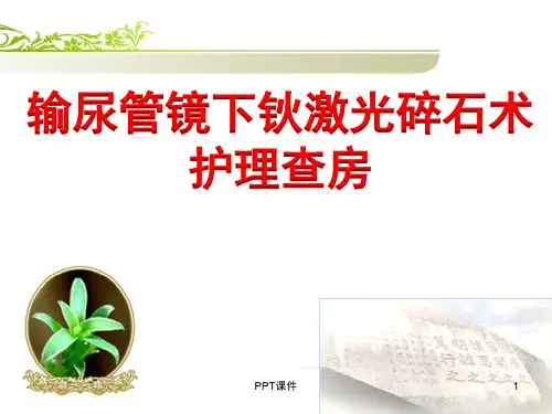 输尿管镜下钬激光碎石术  ppt课件