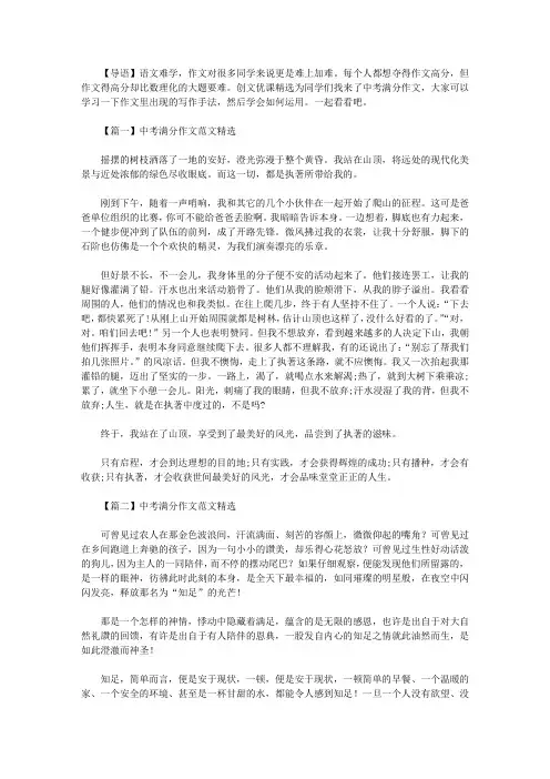 2021年中考满分作文范文精选十篇