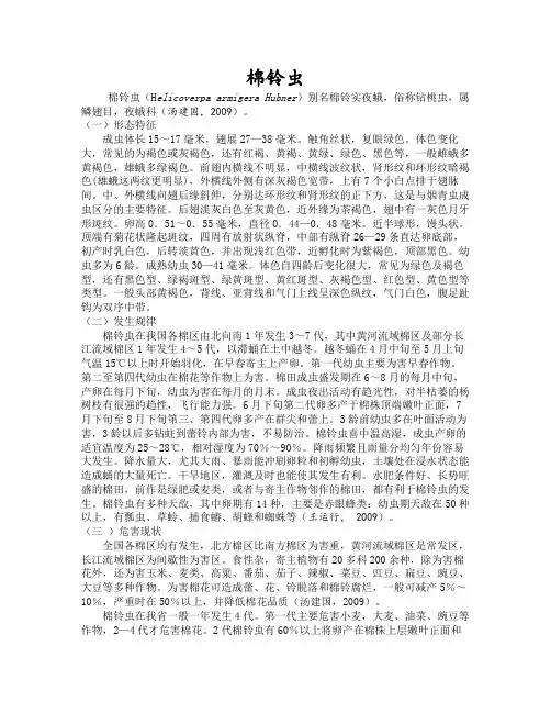 棉铃虫