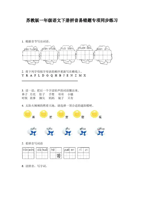 苏教版一年级语文下册拼音易错题专项同步练习