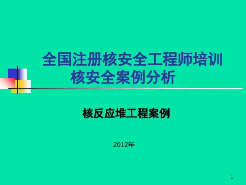 全国注册核安全工程师培训核安全案例分析精品PPT课件