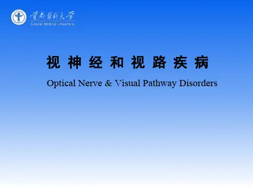 视 神 经 和 视 路 疾 病