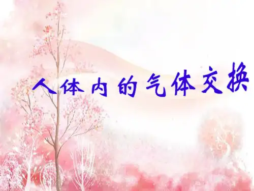 人体内的气体交换PPT教学课件