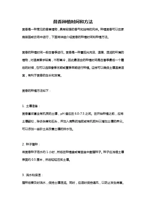 茴香种植时间和方法
