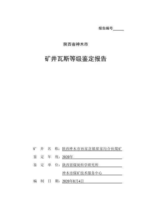 瓦斯等级鉴定报告(2020年度)