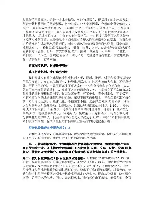 银行风险排查自查报告范文