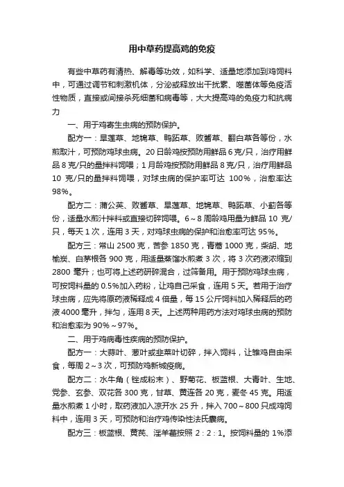 用中草药提高鸡的免疫