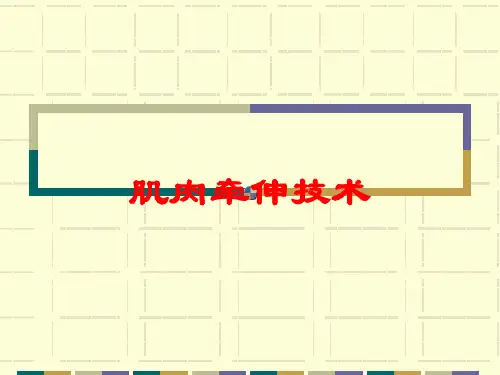 肌肉牵伸技术培训课件