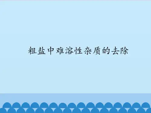 人教版(五四制)九年级全一册化学 实验活动5 粗盐中难溶性杂质的去除 课件(共16张PPT)