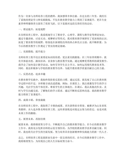 名师培养工程个人工作总结