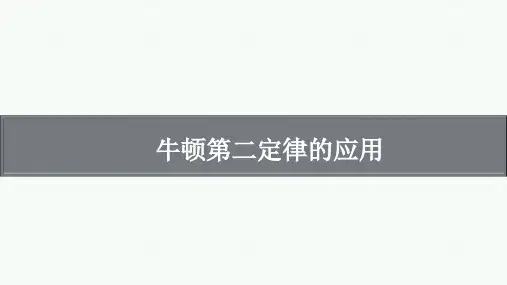 高考物理复习：牛顿第二定律的应用