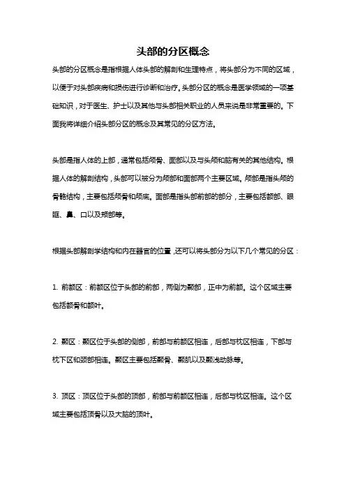 头部的分区概念