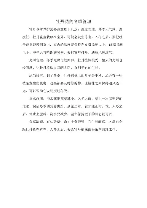 牡丹花的冬季管理