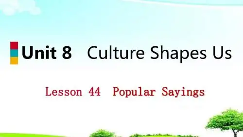 【精选课件】2018-2019学年九年级英语下册Unit8CultureShapesUsLesson44PopularSayings课件新版冀教版.ppt