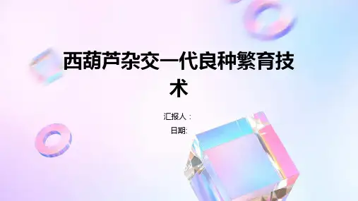 西葫芦杂交一代良种繁育技术
