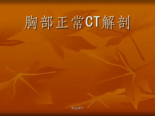 胸部正常CT断层解剖图片ppt课件