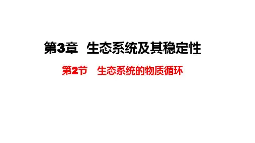 3.3 生态系统的物质循环课件-高二上学期生物人教版(2019)选择性必修2