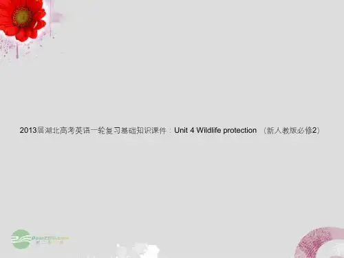 湖北省2013届高考英语一轮复习基础知识课件 Unit 4 Wildlife protection 