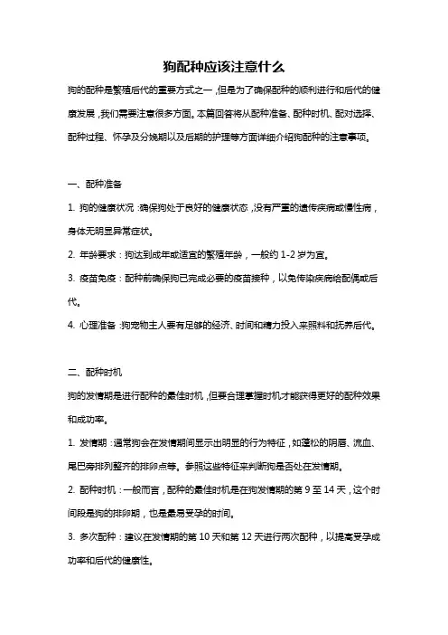 狗配种应该注意什么