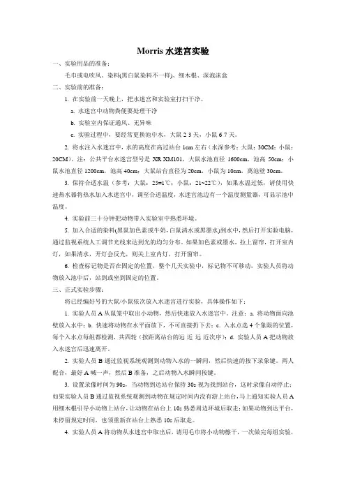 水迷宫实验