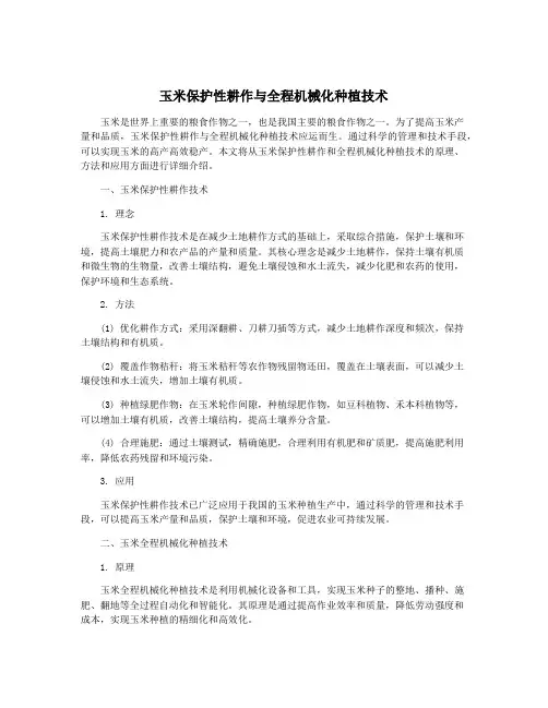 玉米保护性耕作与全程机械化种植技术