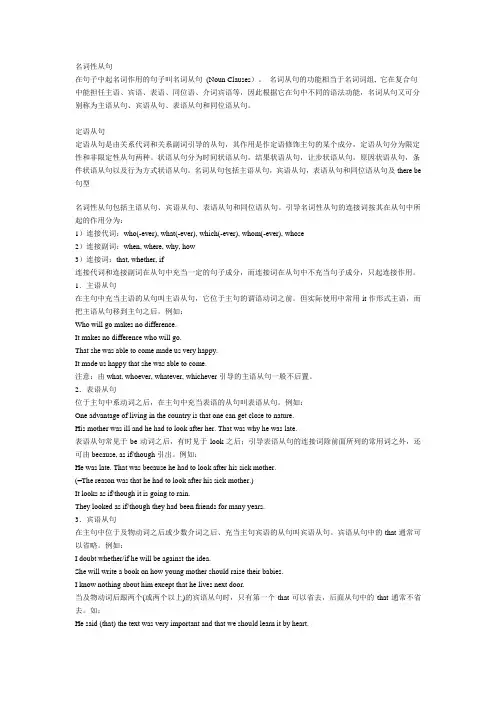 名词性从句与定语从句的辨析1
