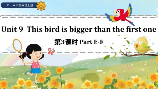 湘少版(三起)英语六年级上册Unit 9 Part E-F课件