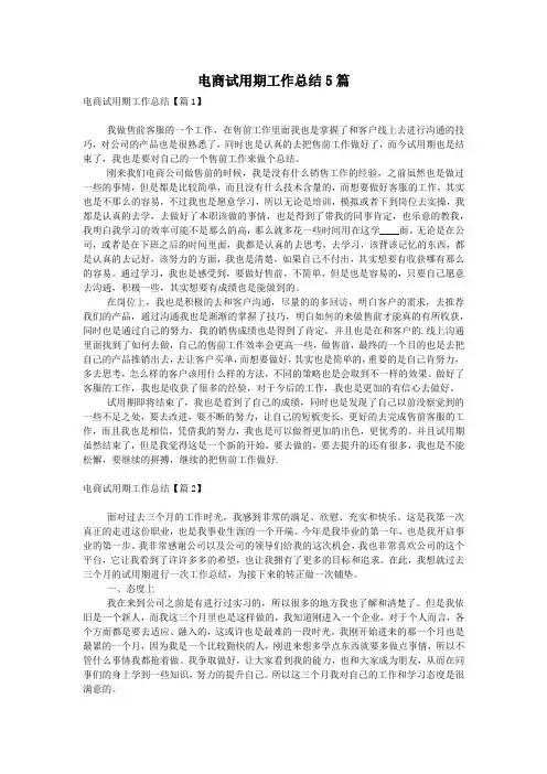 电商试用期工作总结5篇