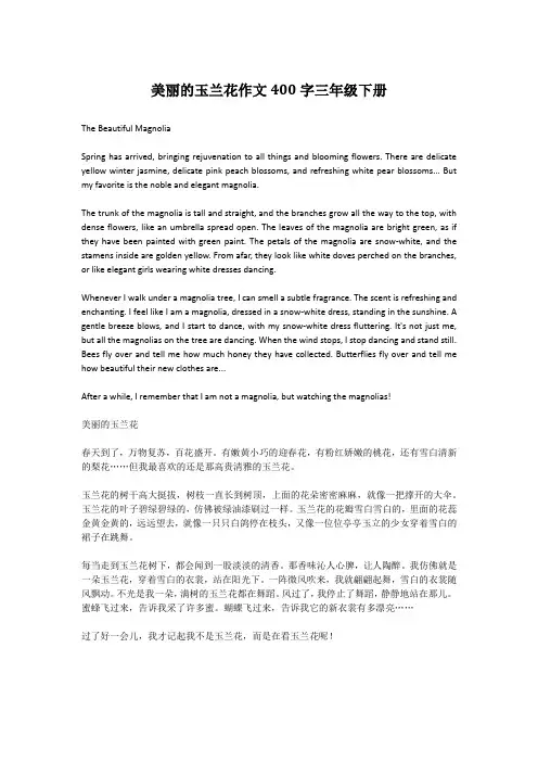 美丽的玉兰花作文400字三年级下册