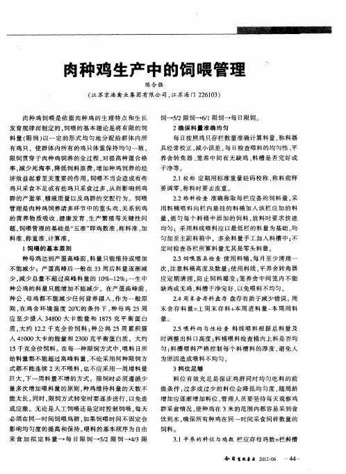 肉种鸡生产中的饲喂管理