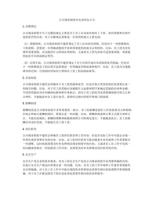 公司规章制度补充说明怎么写