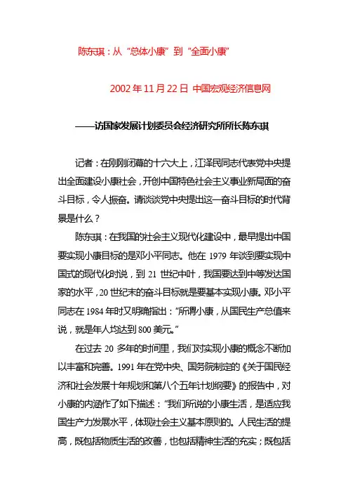 陈东琪：从“总体小康”到“全面小康”