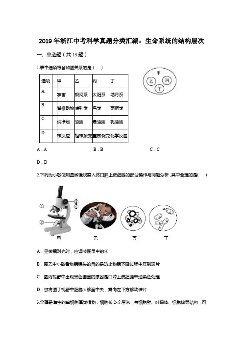 2019年浙江中考科学真题分类汇编：生命系统的结构层次