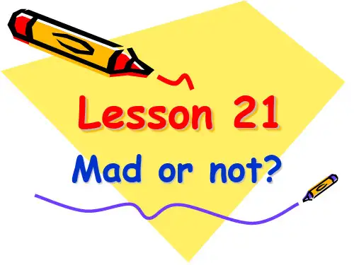 新概念英语第二册课件-(Lesson-21---Mad-or-not)
